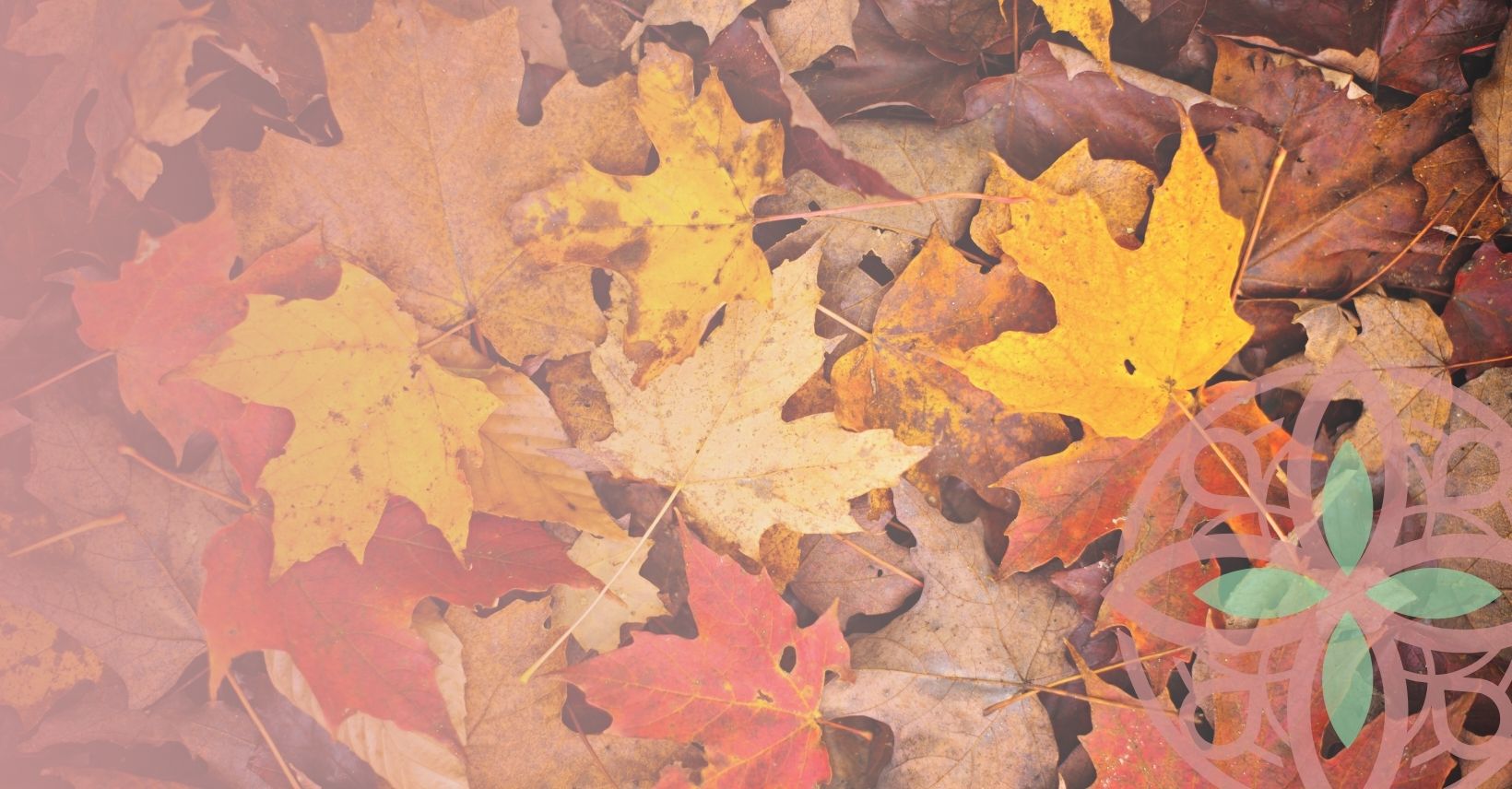 Autunno, combatti la stanchezza del cambio stagione